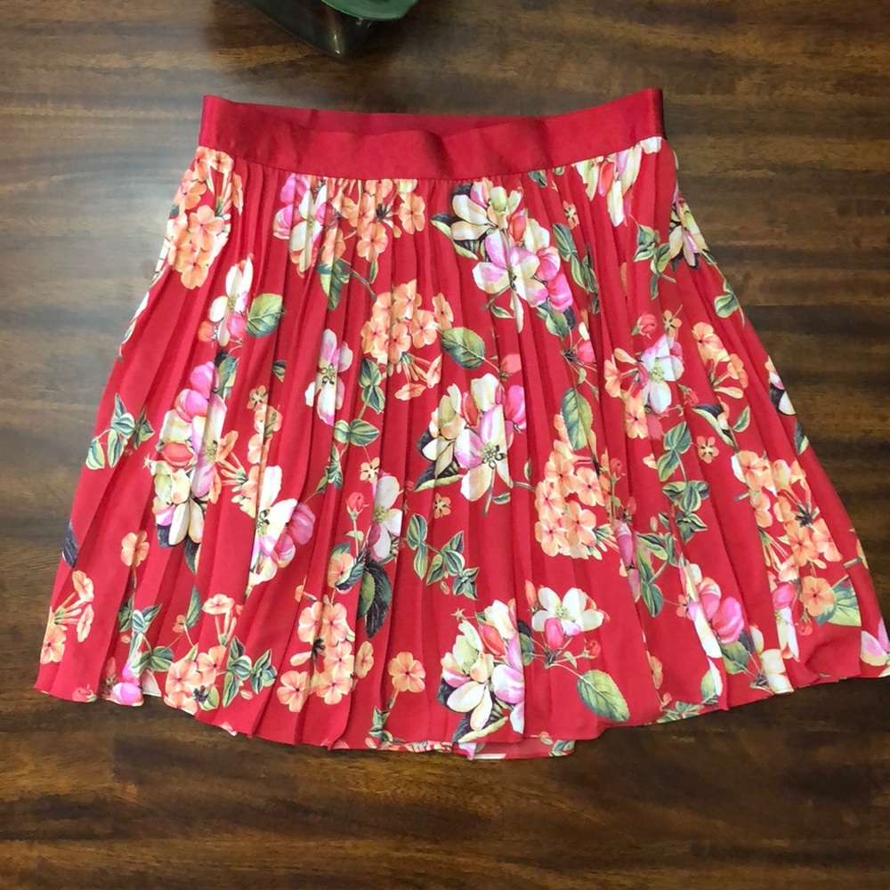 Express Skirt